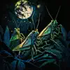 Nocturnal Vibes of Crickets Nature Sounds album lyrics, reviews, download