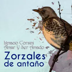 Zorzales de Antaño - Ignacio Corsini - Amar Y Ser Amado by Ignacio Corsini album reviews, ratings, credits