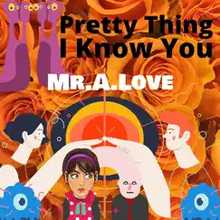 Pretty Thing I Know You (feat. Allrounda) - Single by Mr.A.Love album reviews, ratings, credits