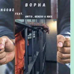 Bopha (feat. Benzoo, Gwiitsi & Niice) Song Lyrics