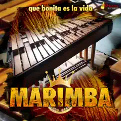 Que Bonita Es La Vida by Marimba album reviews, ratings, credits