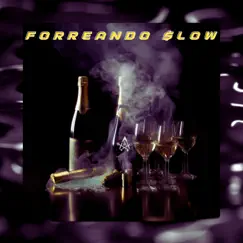 FORREANDO SLOW Song Lyrics