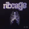 Ribcage - Single album lyrics, reviews, download