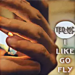 I Like Go Fly - Single by TED Mc album reviews, ratings, credits