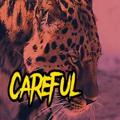 Careful - Single by Yah's Own Records album reviews, ratings, credits