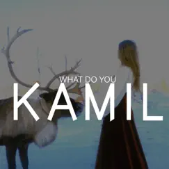 What Do You - Single by Kamil album reviews, ratings, credits