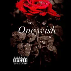 One Wish - Single by Gobabyy album reviews, ratings, credits