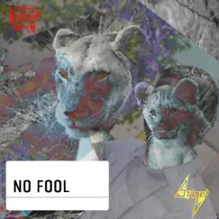 No Fool Song Lyrics