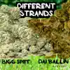 Differnt Strands - Single album lyrics, reviews, download