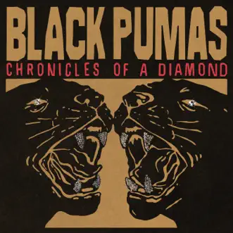 Download Angel Black Pumas MP3