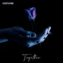 Together Song Lyrics