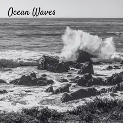Ocean Waves - Single by Ezeiu album reviews, ratings, credits