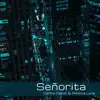 Señorita (Acoustic) - Single album lyrics, reviews, download