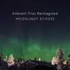 Ambient Trios Reimagined - EP album lyrics, reviews, download