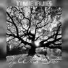 Time Flies - Single album lyrics, reviews, download