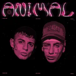 Animal - Single by Franux BB & Neo Pistea album reviews, ratings, credits
