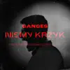 Niemy Krzyk (feat. Sliwa & DJ Flip) - Single album lyrics, reviews, download