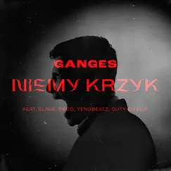 Niemy Krzyk (feat. Sliwa & DJ Flip) - Single by Ganges album reviews, ratings, credits
