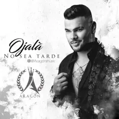Ojalá No Sea Tarde - Single by Aragón album reviews, ratings, credits