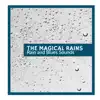 Amazonian Soft Rain song lyrics