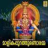 Malikapurathundoramma - Single album lyrics, reviews, download