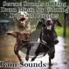 Serene Sounds of Hang Drum Music for Calming Dogs and Puppies (Rain Sounds) album lyrics, reviews, download