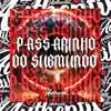 Passarinho do Submundo (feat. Mc Magrinho & DJ Eric da VG) - Single album lyrics, reviews, download