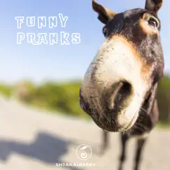Funny Pranks - Single by ShtakalBerry album reviews, ratings, credits
