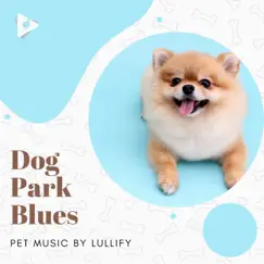 Dog Park Blues by Pet Music by Lullify & Pet Care Music Therapy album reviews, ratings, credits