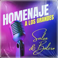 Homenaje A Los Grandes: Salsa & Bolero by Various Artists album reviews, ratings, credits