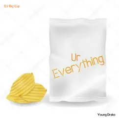 Ur Everything (feat. DJ Big Cup) - Single by Young Drako album reviews, ratings, credits