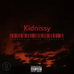 Expensive Pain (Freestyle) - Single by Kidnissy album reviews, ratings, credits