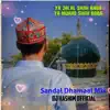 Ya Jalal Shah Baba Ya Murad Shah Baba (Sandal Dhamaal Mixed) - Single album lyrics, reviews, download