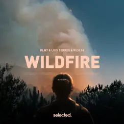 Wildfire - Single by DLMT, Luis Torres & Rico 56 album reviews, ratings, credits