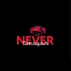 Never - Single album lyrics, reviews, download