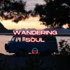 Wandering Soul - Single album lyrics, reviews, download