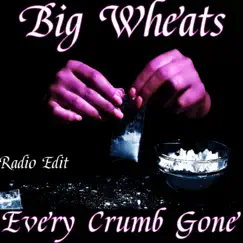 Every Crumb Gone (Radio Edit) Song Lyrics