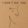 I Don't See You - Single album lyrics, reviews, download