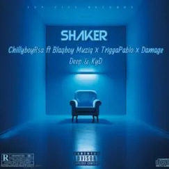 Shaker (feat. Blaqboy Muziq, TriggaPablo, Damage Deep & KyD) Song Lyrics