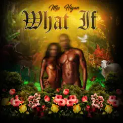 What If - Single by Mic Higan album reviews, ratings, credits