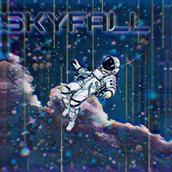 Skyfall - Single by Said The Toxicty Boy album reviews, ratings, credits