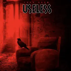 Useless - Single by YUNG DREW album reviews, ratings, credits