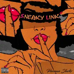 Sneaky Link (#1 Freak) [Remix] Song Lyrics