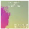 She Keeps On Passin' Me By (feat. DJ Mysterons) - Single album lyrics, reviews, download