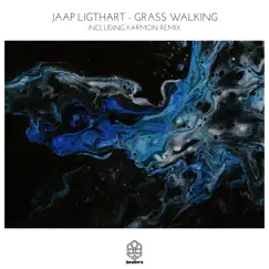 Grass Walking - Single by Jaap Ligthart album reviews, ratings, credits