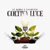 Coltiva luce - Single album lyrics, reviews, download