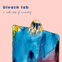 A Calm Sense of Surrounding - EP by Bleach Lab album reviews, ratings, credits