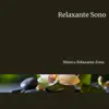 Relaxante Sono: Terapia de Ciclo REM com Melodias Suaves da Natureza e Tranquila Paz album lyrics, reviews, download