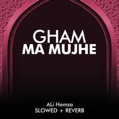 Gham Ma Mujhe Lofi - Single by Ali Hamza album reviews, ratings, credits