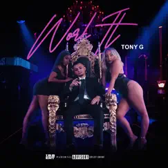 Work It - Single by Tony G album reviews, ratings, credits